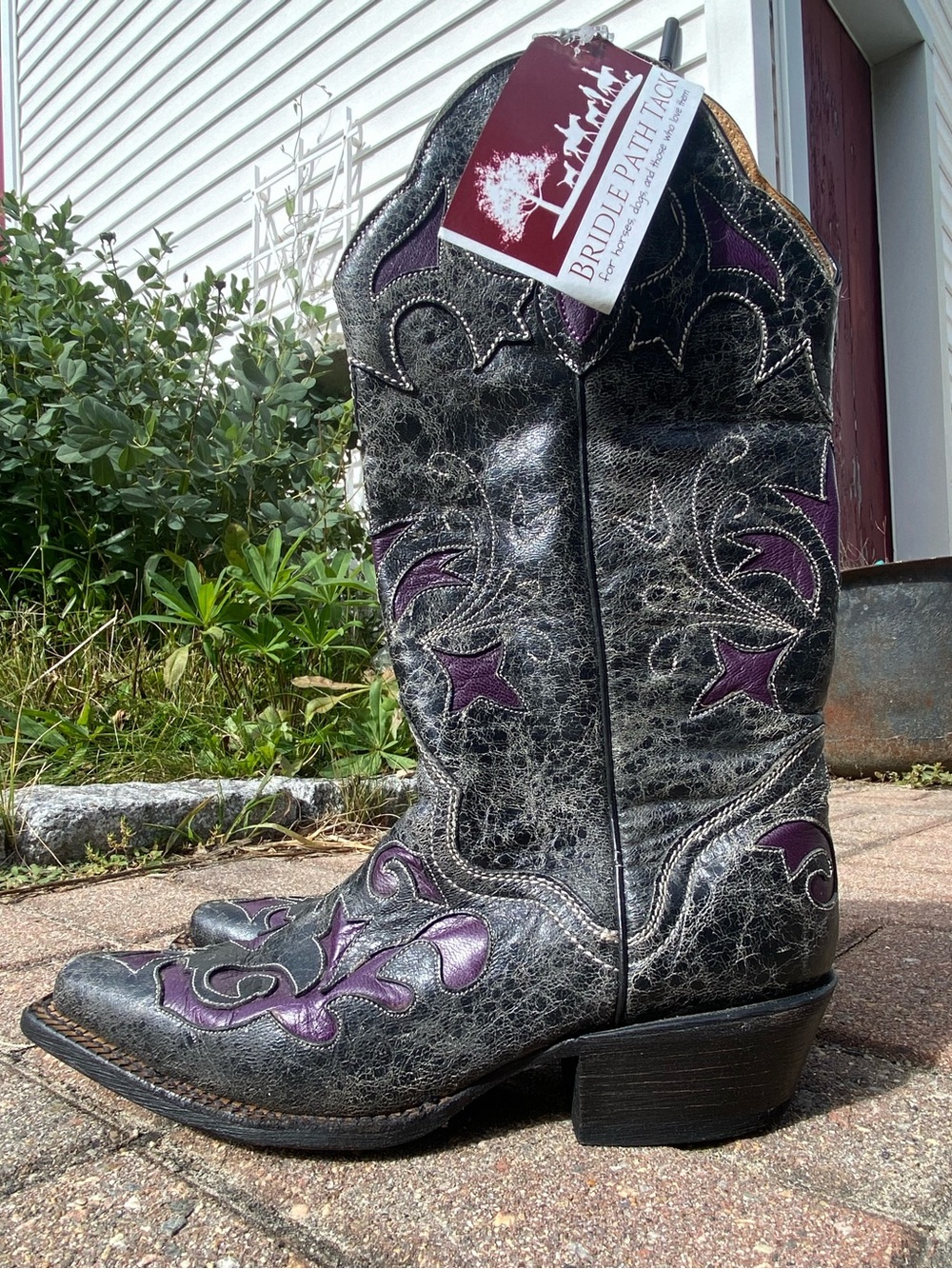 Women's Black and Purple JB Dillon Goat Leather Boots